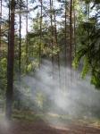 02krasivo.jpg